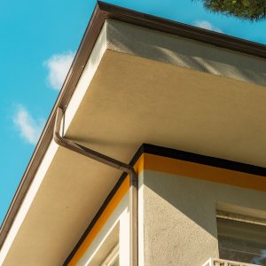 Pintura Profesional para Interiores, Exteriores y Paramentos